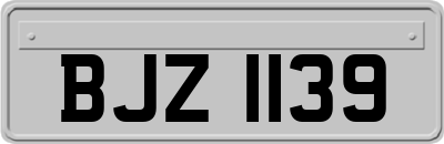 BJZ1139