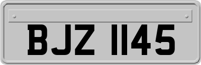 BJZ1145