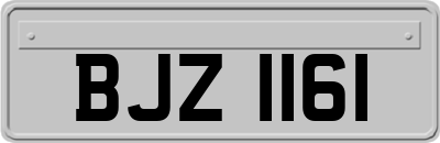 BJZ1161