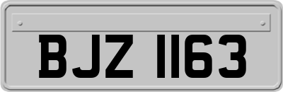 BJZ1163