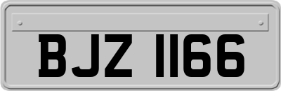 BJZ1166