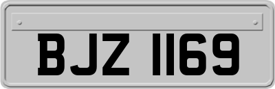 BJZ1169