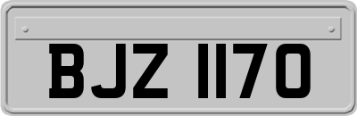 BJZ1170