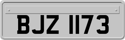 BJZ1173
