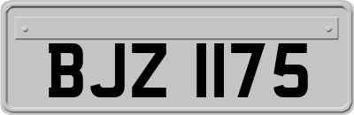 BJZ1175