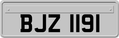 BJZ1191