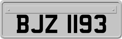 BJZ1193