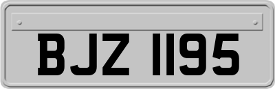 BJZ1195