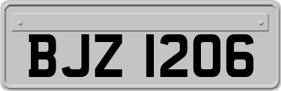 BJZ1206