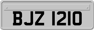 BJZ1210