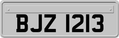 BJZ1213