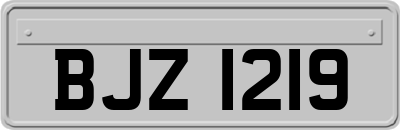 BJZ1219