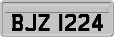 BJZ1224