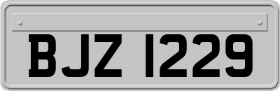BJZ1229