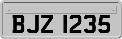 BJZ1235