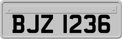 BJZ1236