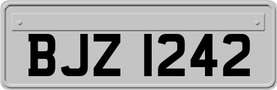 BJZ1242
