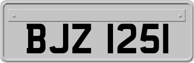 BJZ1251