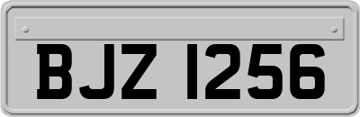 BJZ1256