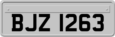 BJZ1263