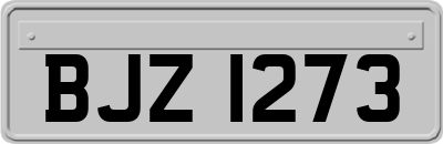BJZ1273