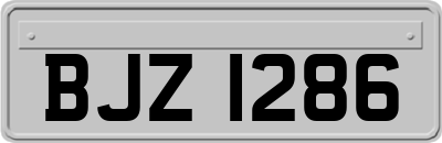 BJZ1286