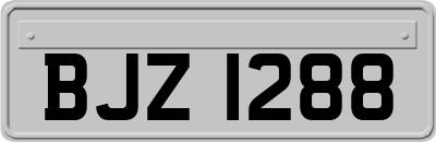 BJZ1288
