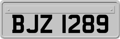 BJZ1289