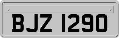 BJZ1290