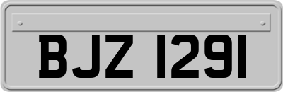 BJZ1291