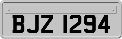 BJZ1294
