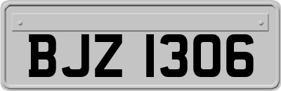 BJZ1306