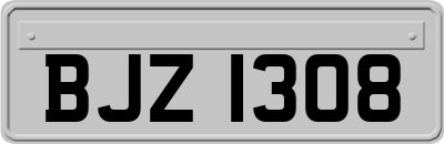 BJZ1308