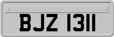 BJZ1311