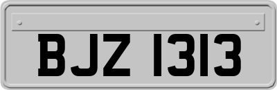 BJZ1313