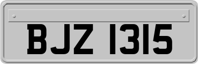 BJZ1315