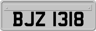 BJZ1318