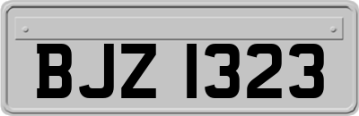 BJZ1323
