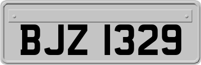 BJZ1329