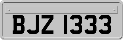 BJZ1333