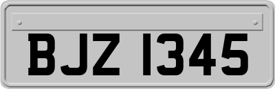 BJZ1345