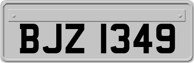 BJZ1349