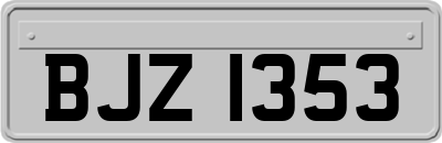 BJZ1353