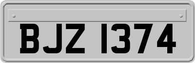 BJZ1374