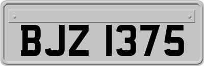 BJZ1375