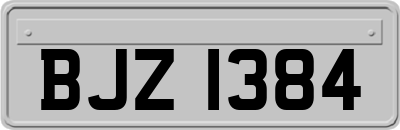 BJZ1384