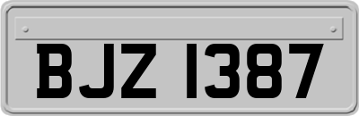 BJZ1387