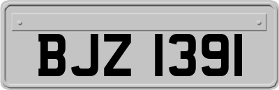 BJZ1391