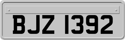 BJZ1392