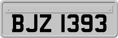 BJZ1393